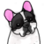 :iconpaaw11: