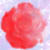 :iconpacasopal: