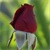 :iconpack8287: