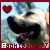 :iconpackleader77: