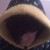 :iconpacmln: