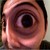 :iconpacobrooklyn: