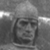 :iconpacovanquelin: