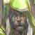 :iconpacuttus: