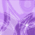 :iconpadawancats:
