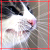 :iconpaddee: