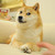 :iconpaddy90:
