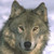 :iconpaddywolf12: