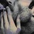 :iconpadfootpatronus: