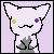 :iconpafofis: