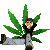 :iconpaga-666: