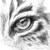 :iconpagancrow: