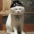:iconpagge2k: