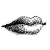 :iconpaigeymac: