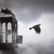 :iconpain-hatred-power:
