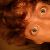 :iconpaintcan: