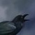 :iconpainted-fake-smile: