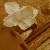 :iconpainted-imagination: