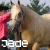 :iconpainted-jade: