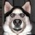 :iconpainted-memory: