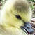 :iconpainted-time: