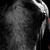 :iconpainted-wishes:
