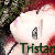 :iconpaintedfox: