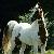 :iconpaintedhorse: