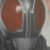 Paintedland :iconpaintedland: