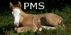 :iconpaintedmeadowsstable: