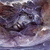 :iconPaintedPixie: