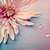 :iconPainter7: