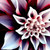 :iconpainter8: