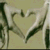 :iconpaintfan: