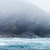 :iconpainting-caro: