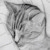 :iconpaintingpony:
