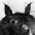 :iconPaintMaster: