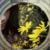 :iconpaintmydream: