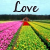 :iconpaintovertheworld: