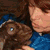 Pairastocks :iconpairastocks: