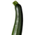 :iconpaku--paku: