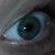 :iconpalancik: