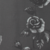 PaleGreyGarden :iconpalegreygarden: