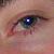 :iconpalehorserider1:
