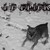 :iconpaleostuff: