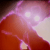 :iconpaleraven: