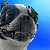 :iconpalereflection: