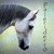 :iconpalerider10: