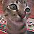 :iconpalinkk: