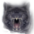 :iconpaliopolis: